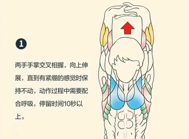 南寧美容師培訓(xùn)要學(xué)什么？背部護(hù)理就是其中一項