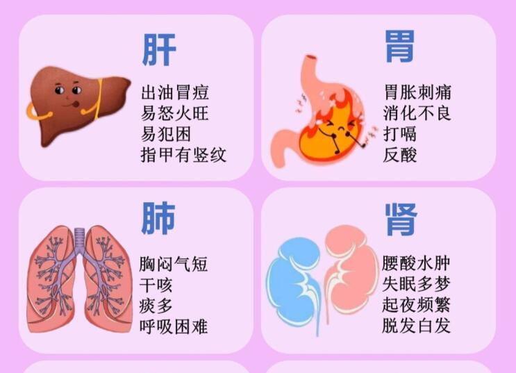 6大臟器保養(yǎng)指南，6款養(yǎng)生茶喝起來 ???