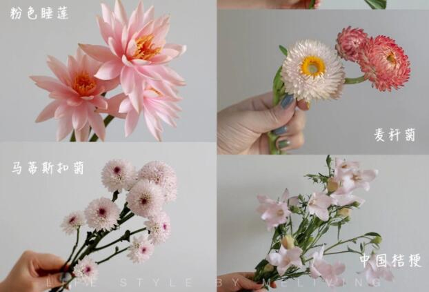 認識常見花朵的名稱，廣西插花學?；ㄋ嚺嘤柣A(chǔ)