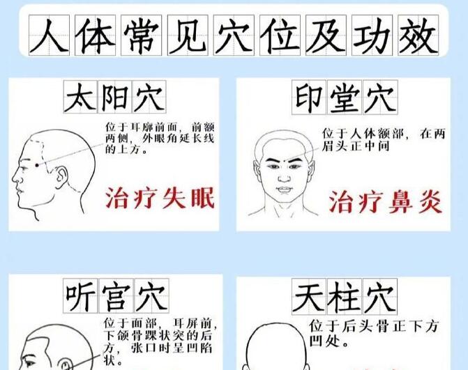 人體常見穴 位及功效，廣西專業(yè)正規(guī)美容學(xué)校講解