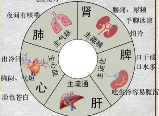 人體不同部位受寒的表現(xiàn)，廣西中醫(yī)美容培訓(xùn)分享