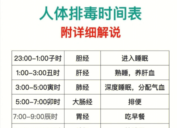 人體排毒時(shí)間表，南寧美容專業(yè)學(xué)校詳細(xì)解說(shuō)