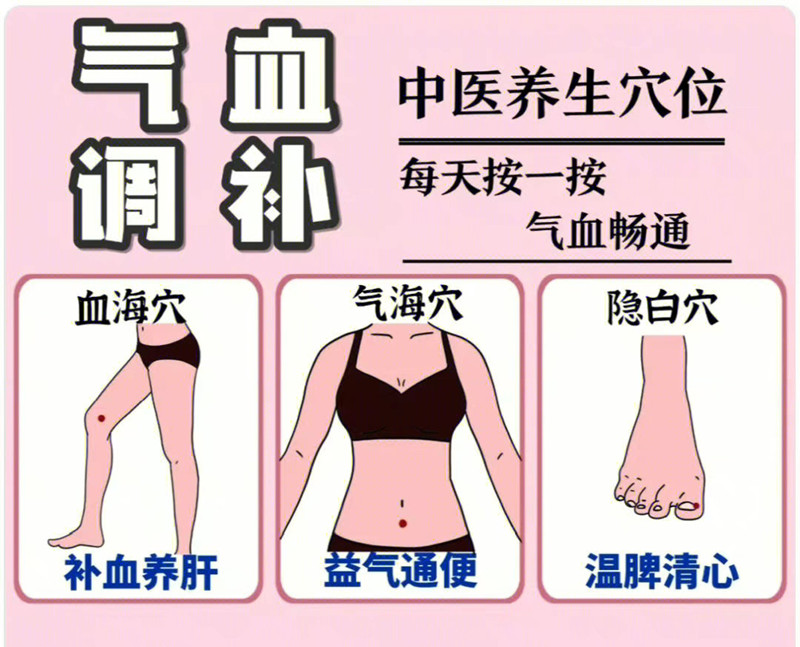 具有補(bǔ)氣血功能的穴位，南寧學(xué)美容中醫(yī)