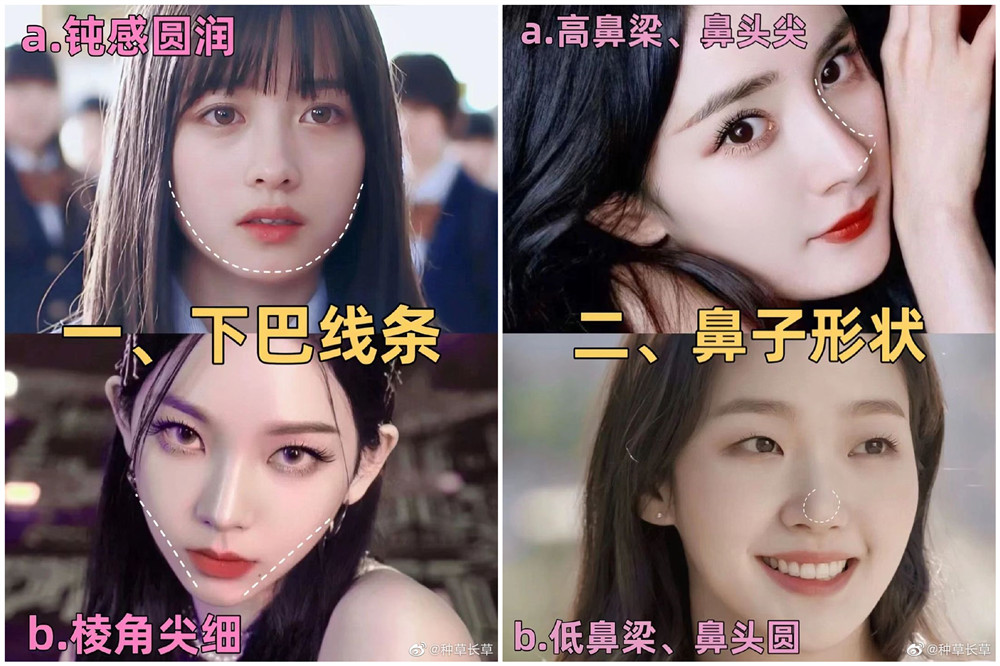 彩妝妝容分析分享：自測動物系長相？