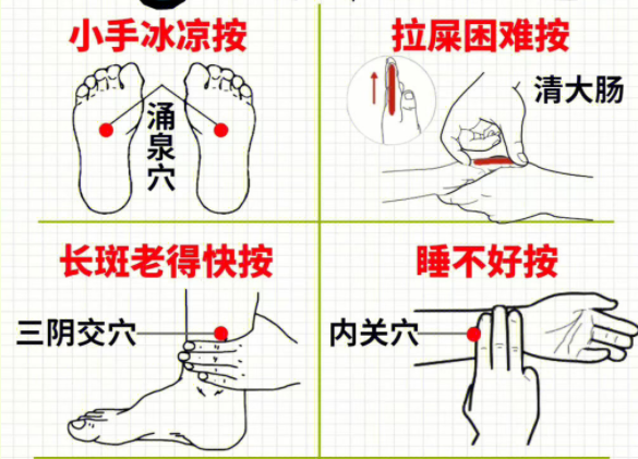 女性如何養(yǎng)生調(diào)理 ？南寧中醫(yī)美容培訓(xùn)分享
