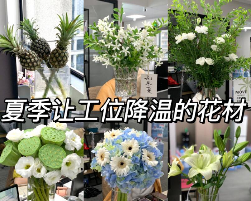 自帶降溫效果的花材，廣西學鮮花技術(shù)