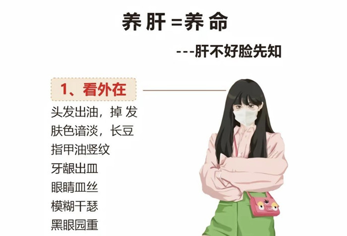 南寧學健康美容：如何正確養(yǎng)肝？
