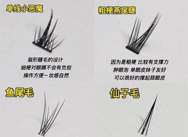 假睫毛科普知識，廣西化妝基礎(chǔ)