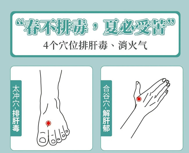 南寧美容健康管理：春季如何養(yǎng)生？