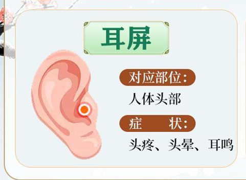 常按耳朵的好處，南寧美容美體哪里專業(yè)？